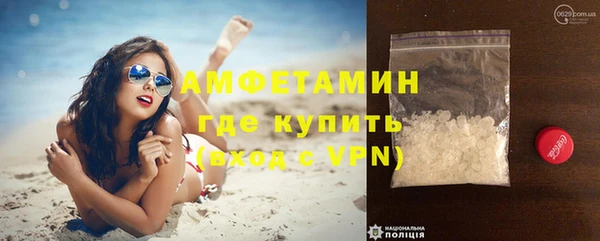 мдпв Болотное