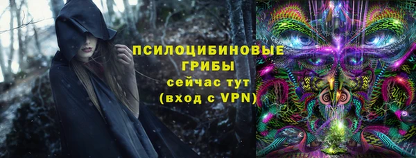 молекула духа Медногорск