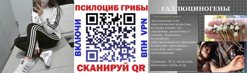 Галлюциногенные грибы Magic Shrooms Тайшет