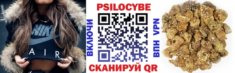 Псилоцибиновые грибы Psilocybe  Тайшет 