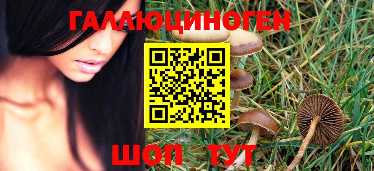 Альфа ПВП СК кристаллы  МДМА  Меф МЯУ МЯУ   Тайшет  Каннабис  Гашиш  НБОМе  Мефедрон кристаллы  Экстази 