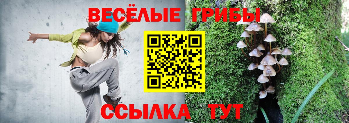 Галлюциногенные грибы GOLDEN TEACHER  Тайшет  Галлюциногенные грибы ЛСД 