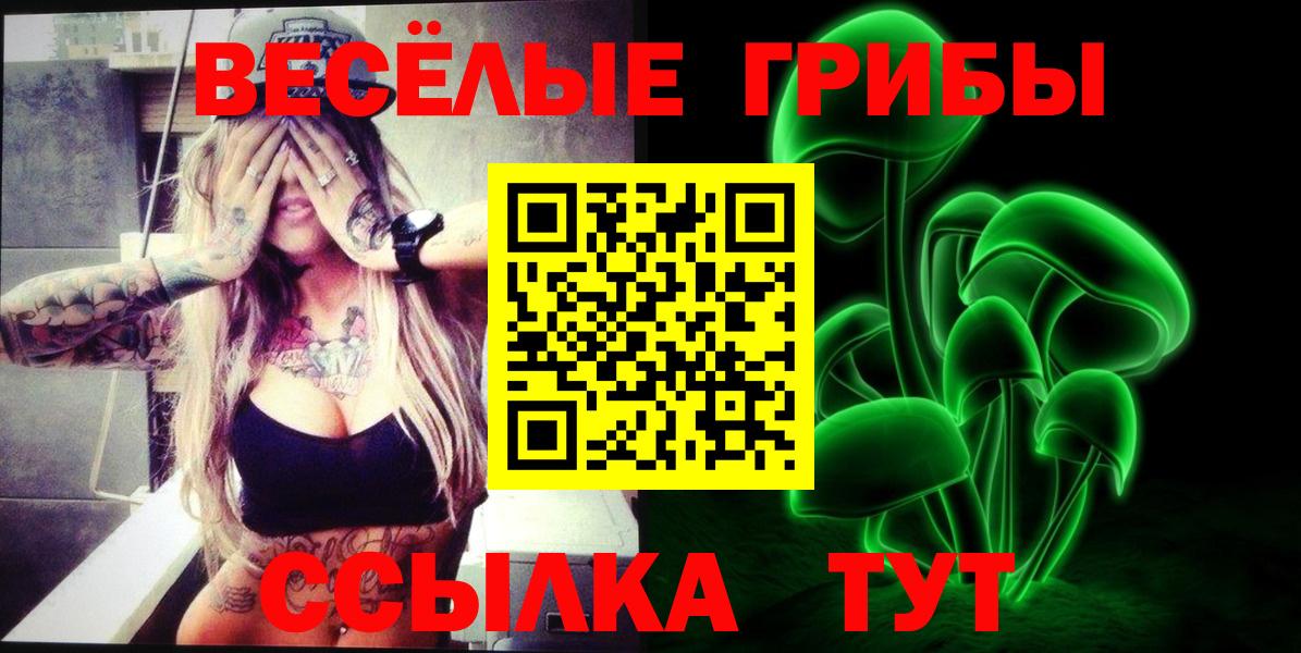 Псилоцибиновые грибы Psilocybe Тайшет