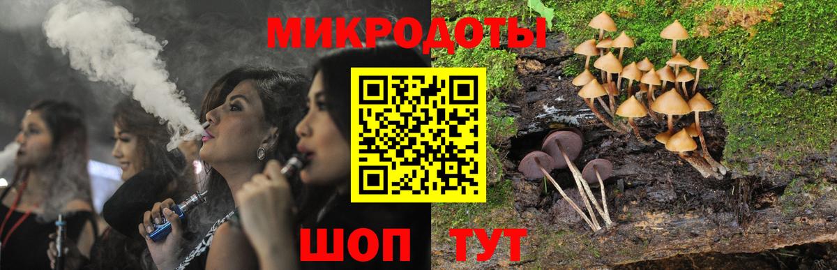 Галлюциногенные грибы мицелий  Вход с VPN  купить   Тайшет 