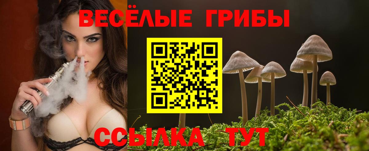Галлюциногенные грибы Psilocybine cubensis Тайшет